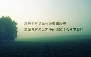 周杰伦知识图谱提取-浪涛分享