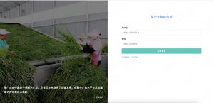 基于neo4j的草产业图谱问答系统-浪涛分享