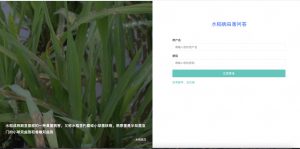 基于neo4j的水稻病虫害问答系统-浪涛分享