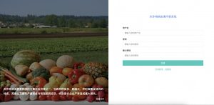 基于neo4j的农作物病虫害知识图谱问答系统-浪涛分享