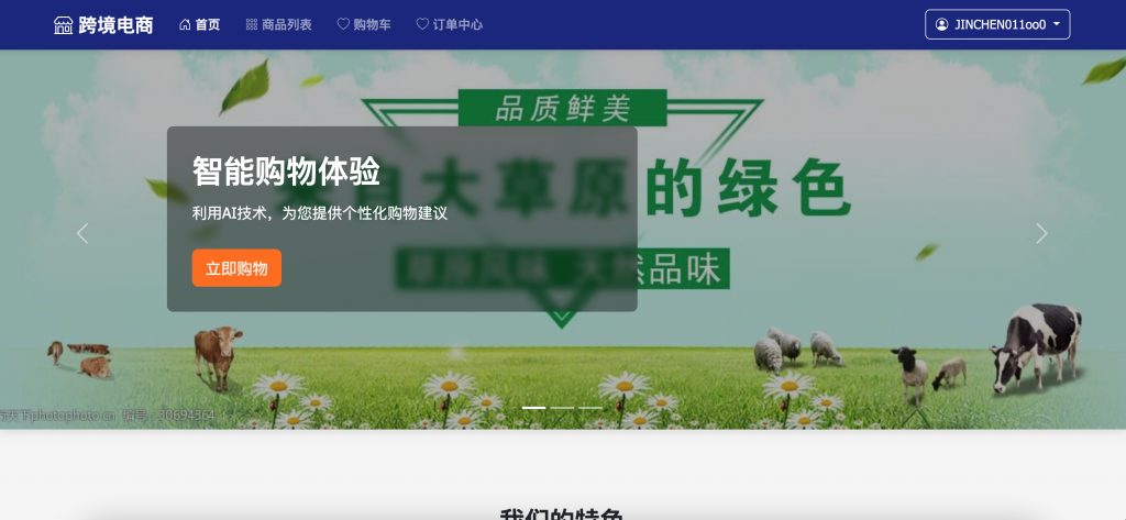 图片[5]-基于大模型RAG技术的跨境电商问答客服系统