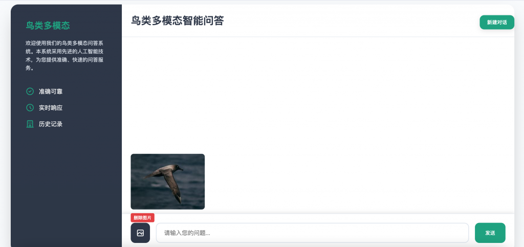 图片[2]-基于多模态大模型微调的鸟类识别系统