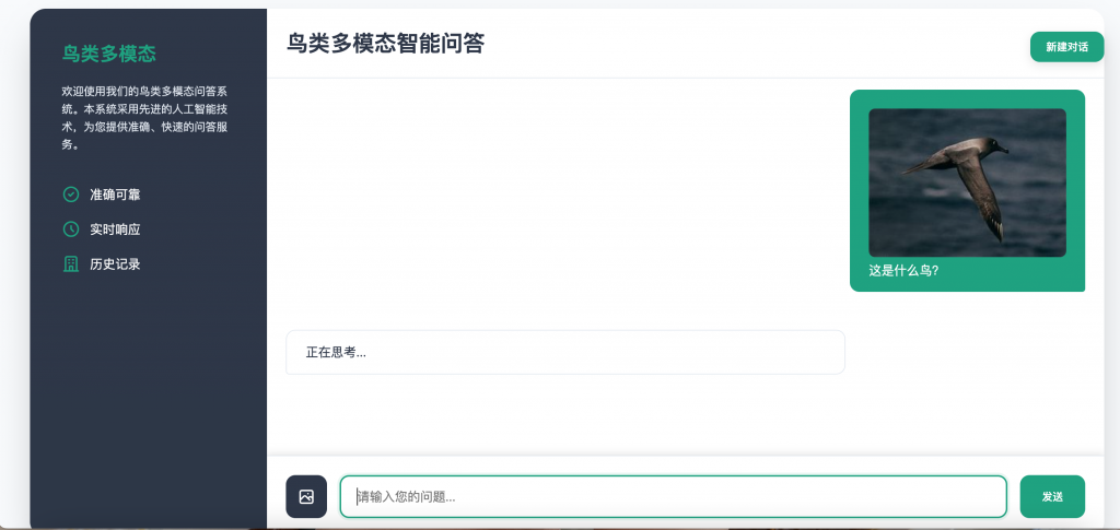 图片[3]-基于多模态大模型微调的鸟类识别系统